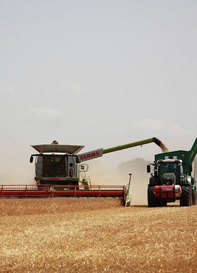 Navegue pela Categoria de Transporte