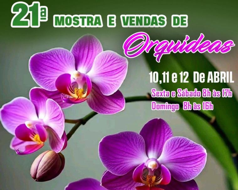 Vem aí a 21ª Mostra e Venda de Orquídeas em Sumaré