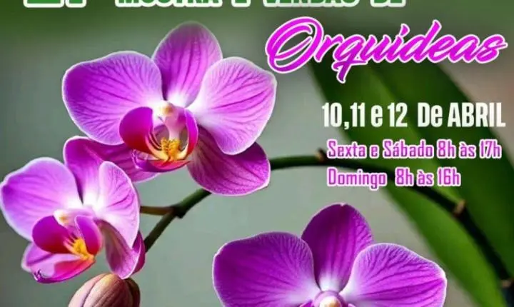 Vem aí a 21ª Mostra e Venda de Orquídeas em Sumaré